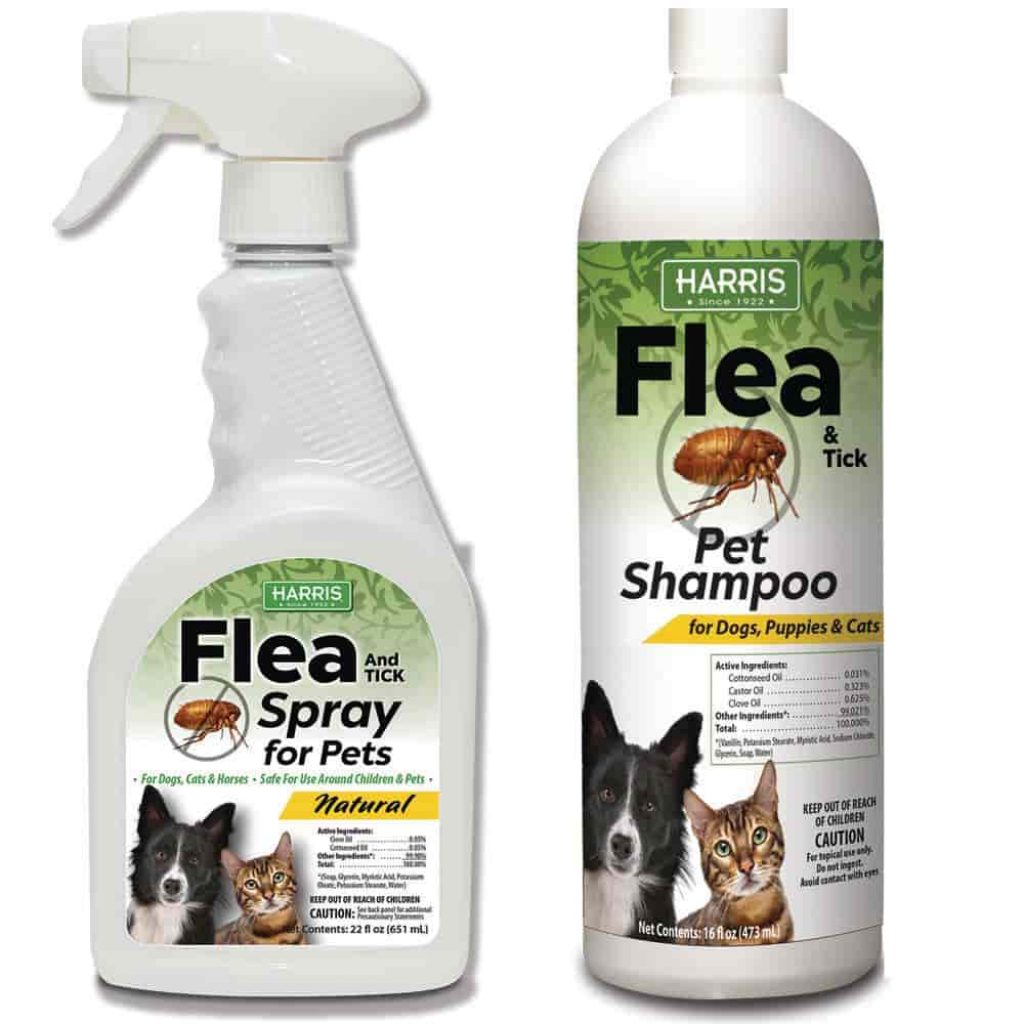 How to protect your dog from Tick and flea spray