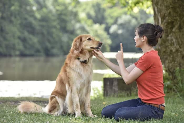 5 Strategies to Help Your Dog, Live a Longer Happier Life