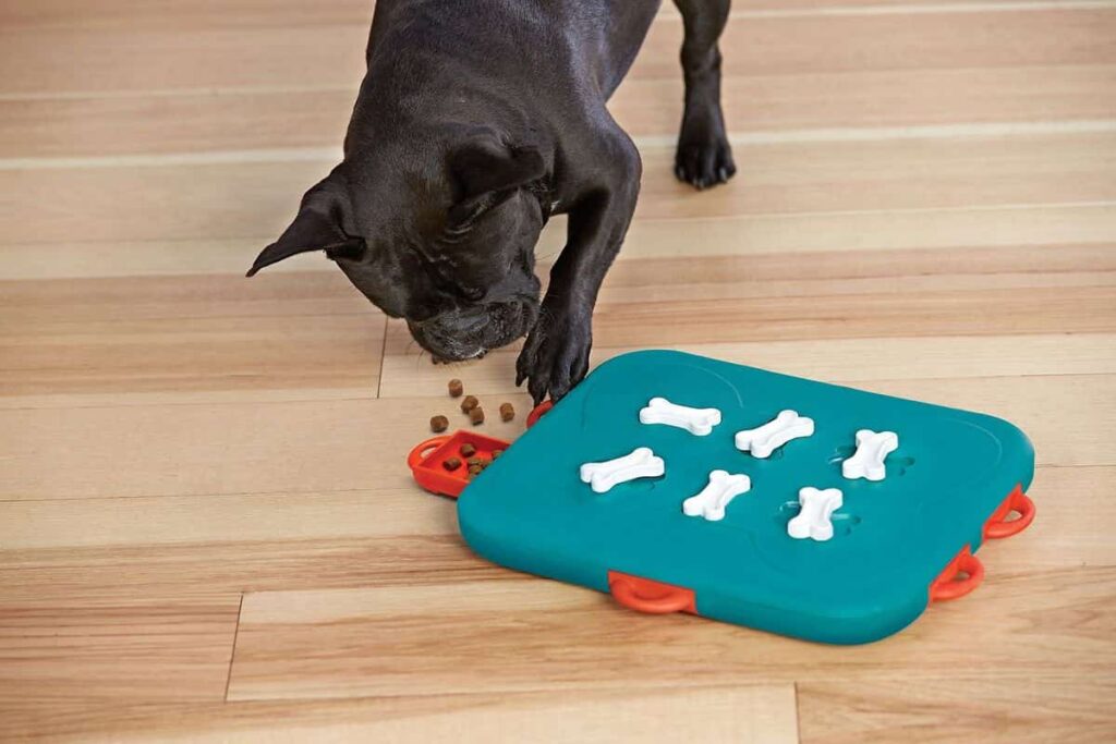 Dog Food Puzzle Game