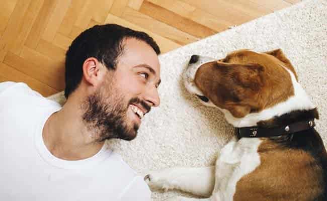 How dogs Promote your health and Joys