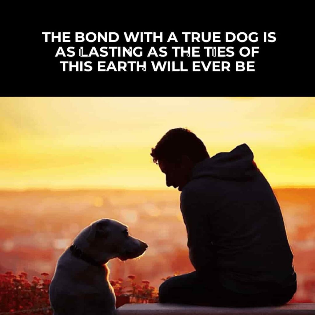 The bond with a true dog is as lasting as the ties of this earth will ever be.