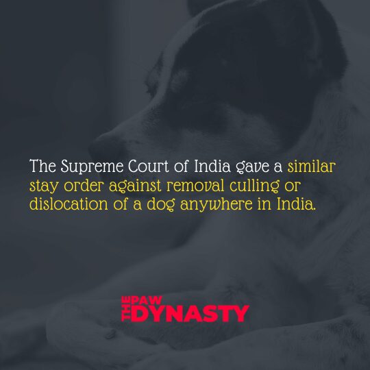 Animal Protection Laws, Superme Court of India