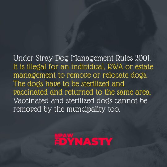 Animal Protection Laws, Under Stray Dog Management Rules 2001