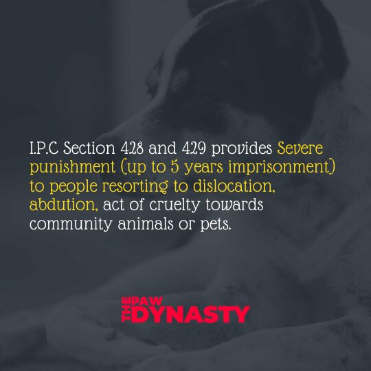 Animal Protection laws IPC section 428 and 429