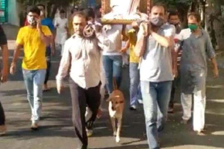 Gujarat Sadhvi's Loyal Dog Walks 5 Km For Her Funeral Procession, Proves Bond Is Eternal