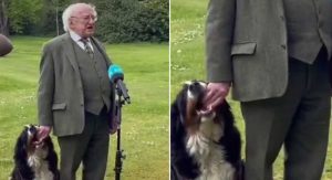 Dog Steals The Show