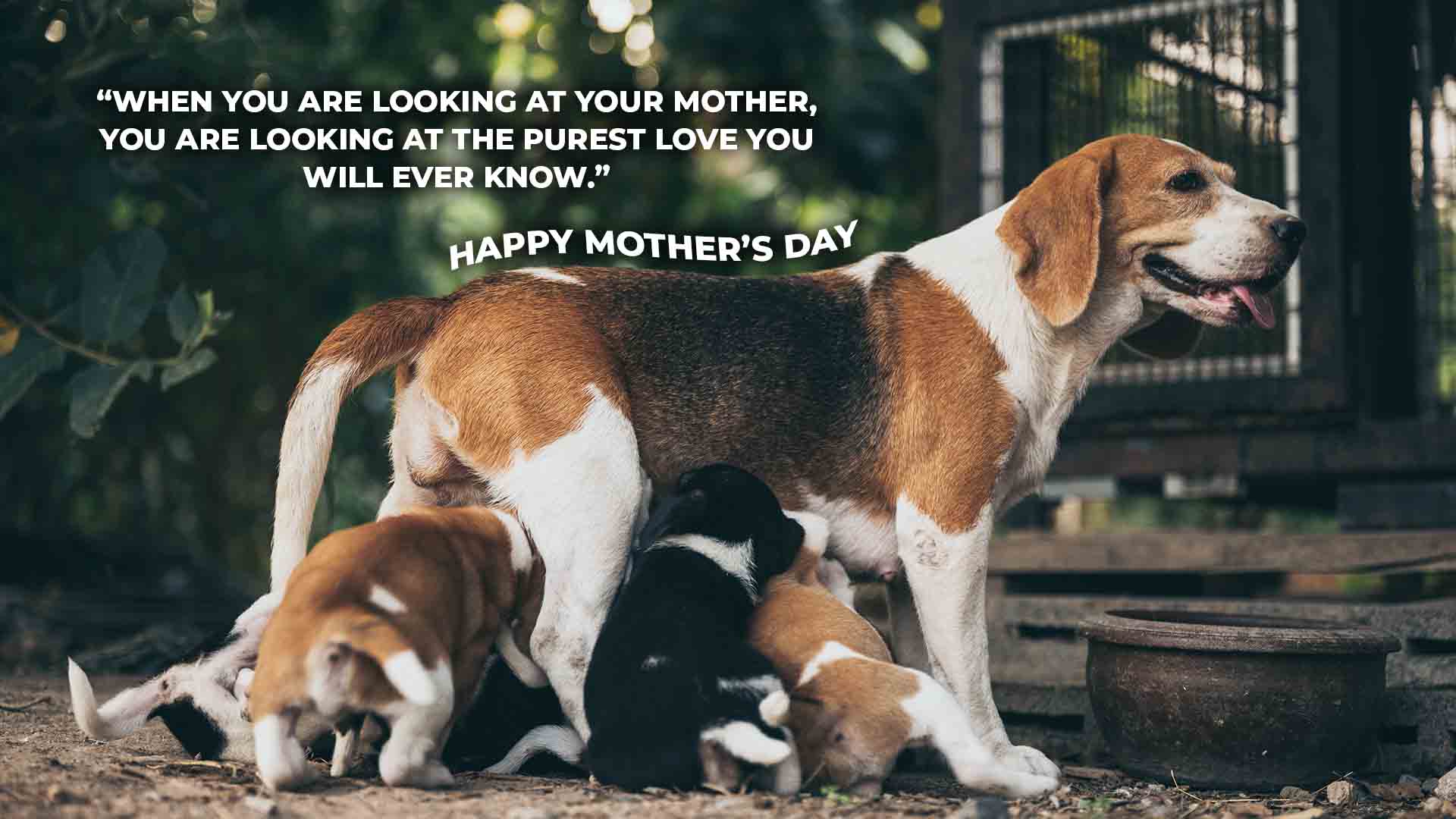 “When you are looking at your mother, you are looking at the purest love you will ever know.”