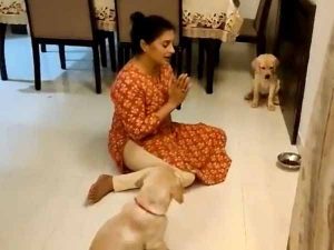 Woman teaches dogs to pray before eating, video goes viral