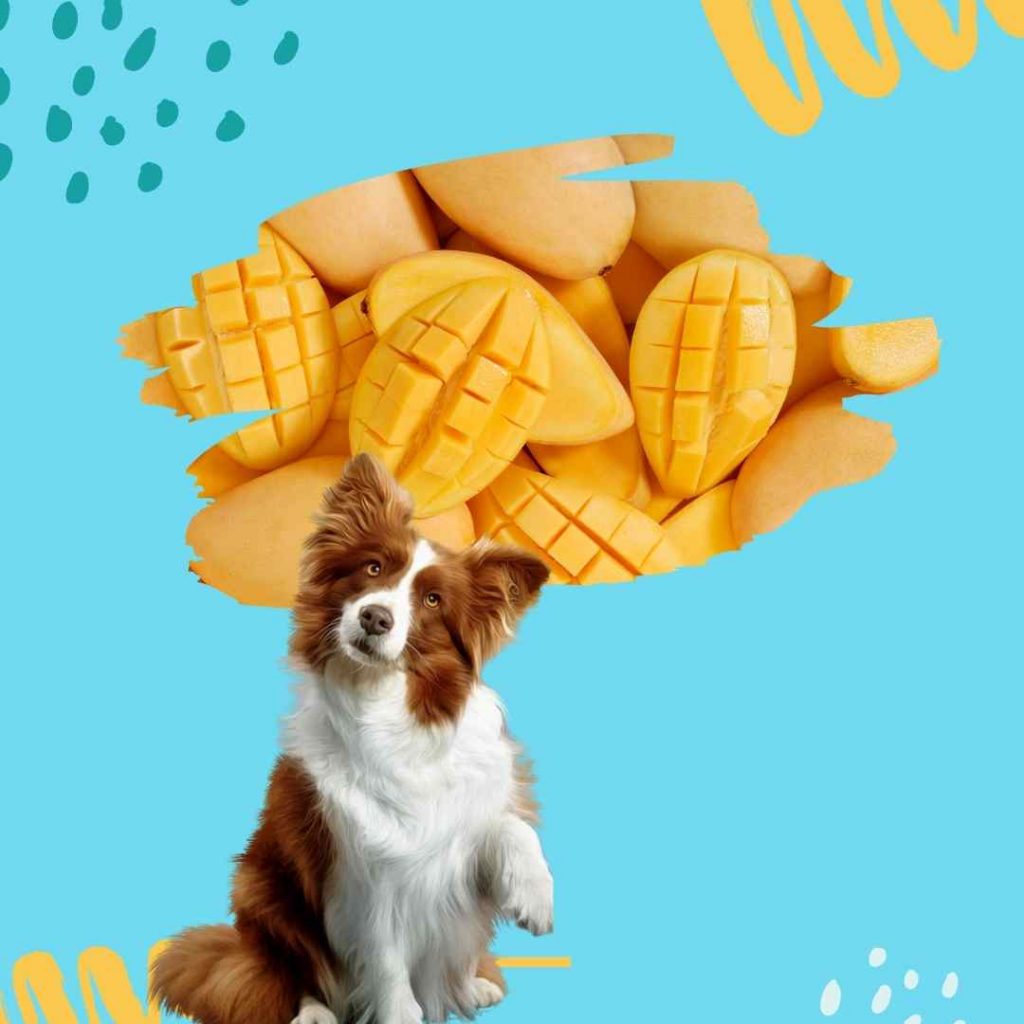 are mangoes safe for dogs to eat