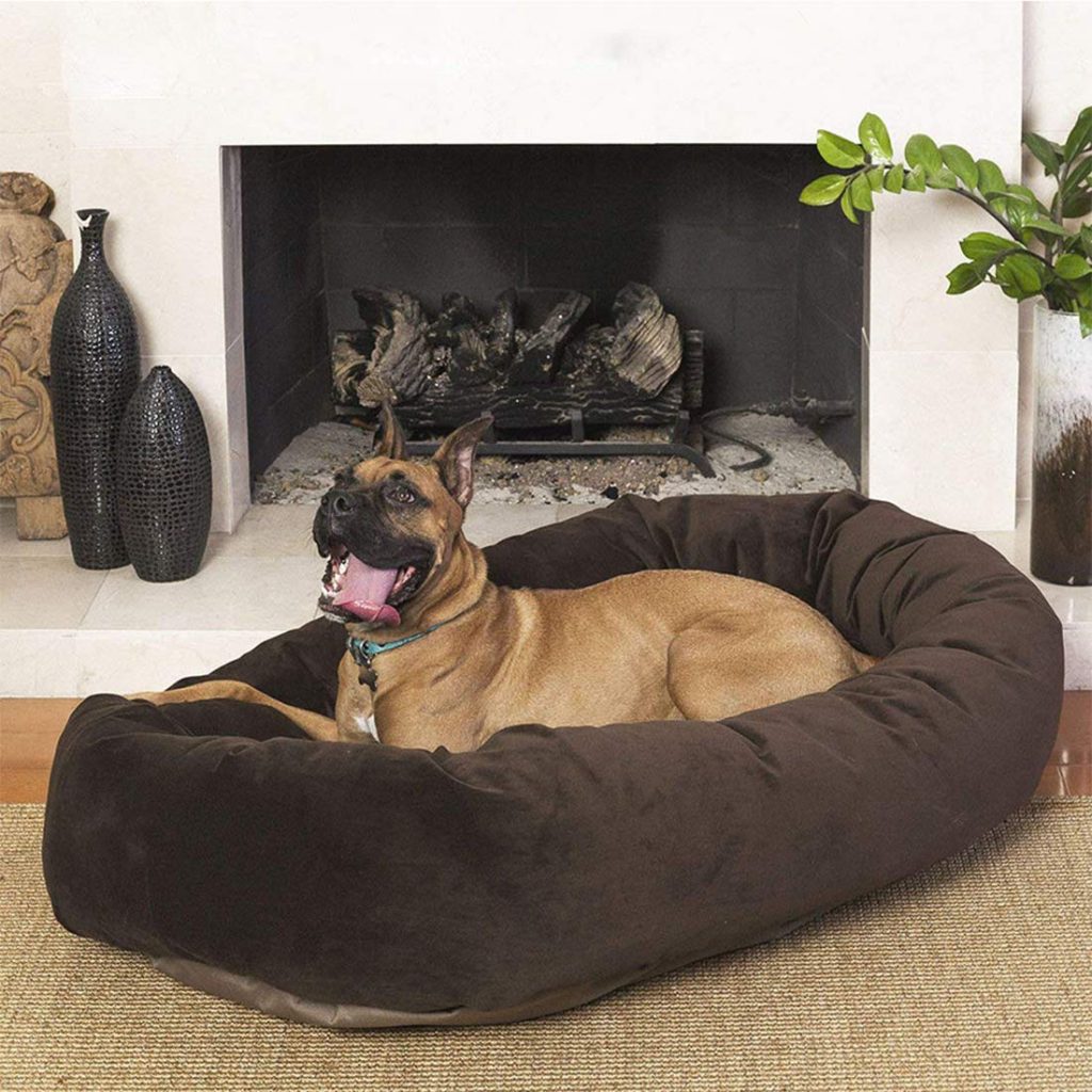 How to select the best dog bed