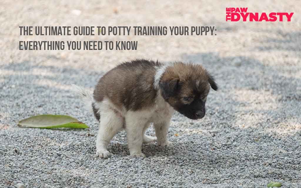 The Ultimate Guide to Potty Training Your Puppy