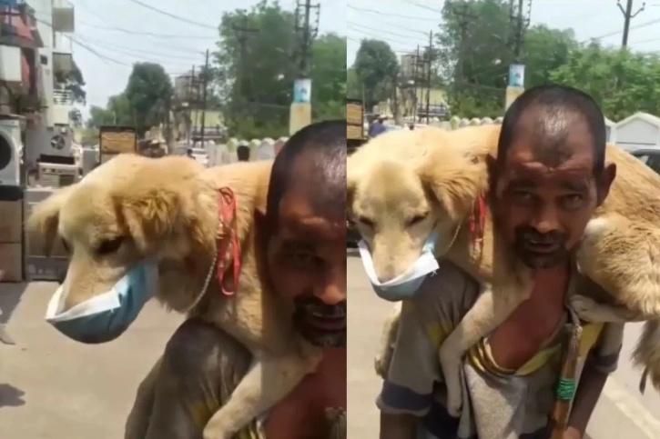 Viral Video Of Underprivileged Man Placing His Just Mask On Your Own Dog Is Wholesome