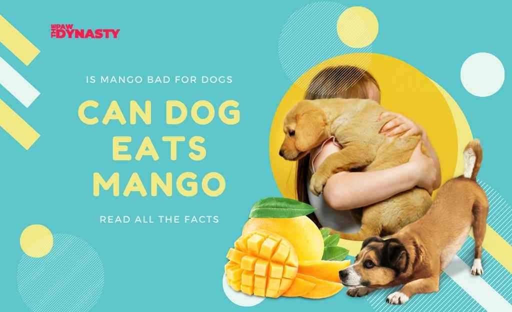 Can dogs eat mango